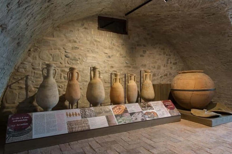 Sala Baganza: Wine Museum Ticket - Descending into the Cellars