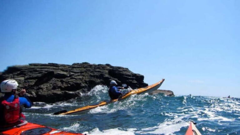 Salcombe: Estuary Explorer Sea Kayak Tour - The Itinerary and What to Expect