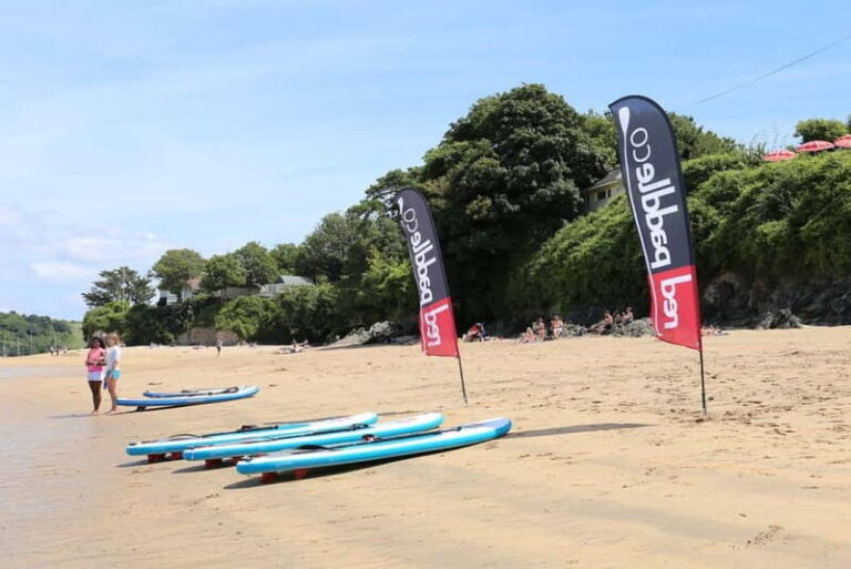 Salcombe: Group Stand Up Paddleboarding Tour - Why the Equipment Matters