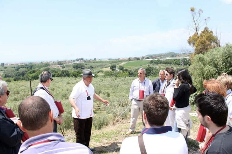 Salerno: Wine Tasting with Vineyard and Olive Grove Visit - What Sets This Tour Apart?