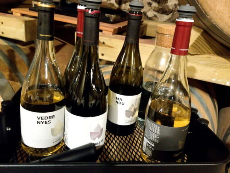 Salou: Priorat tasting Wine-Cellar Tour with hotel pickup - The Real Value of This Tour
