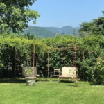 San Felice del Benaco: Vineyard Tour with Wine Tasting - Inside the Wine Cellar: From Grape to Glass