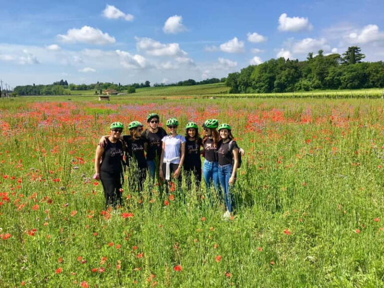 San Felice: E-bike tour and Olive Oil Tasting with food - What Makes This Tour Stand Out?
