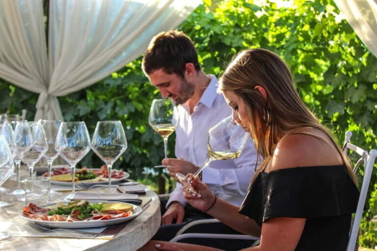 San Gimignano: Wine and Oil Tasting with Tuscan Appetizers - What You’ll Savor