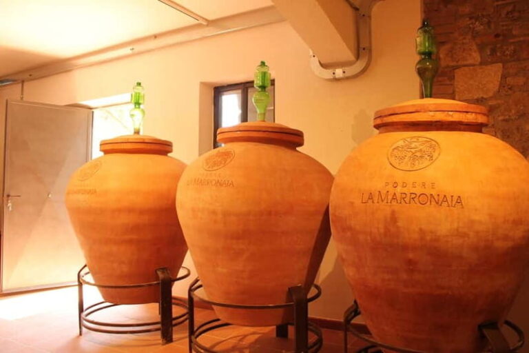 San Gimignano: Wine, Oil, Cheese & Balsamic Tasting - A Close Look at the Experience