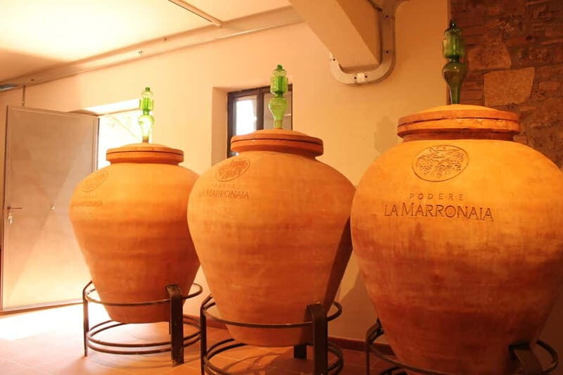 San Gimignano: Wine, Oil, Cheese & Balsamic Tasting - A Close Look at the Experience