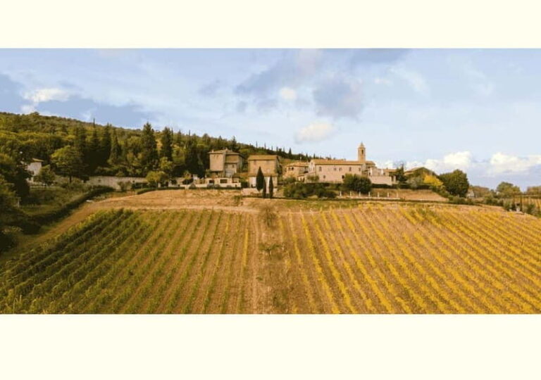 San Gimignano: Wine Tasting Experience at Il Colombaio - What to Expect from the Experience