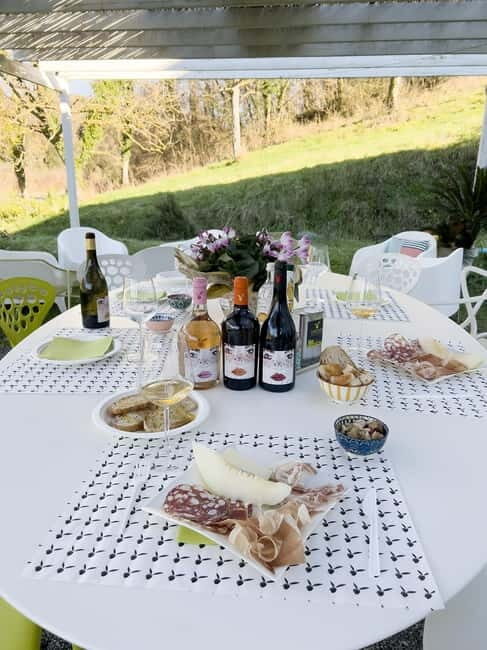 San Miniato: Organic Wine and Olive Oil Tasting Experience - Why This Tour Works Well