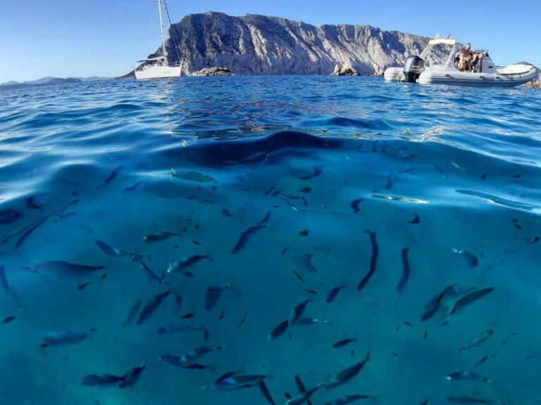 San Teodoro: Tavolara Boat Tour & Monte Nieddu 4x4 Tour - Detailed Breakdown of the Tour Experience