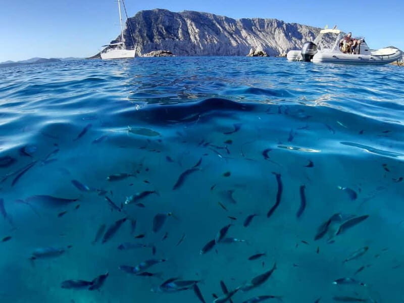 San Teodoro: Tavolara Boat Tour & Monte Nieddu 4x4 Tour - Detailed Breakdown of the Tour Experience