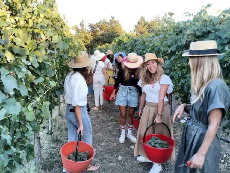 Santa Maria Imbaro: Grape Harvest with Pressing + Picnic among olive trees and vineyards - The Value of the Experience