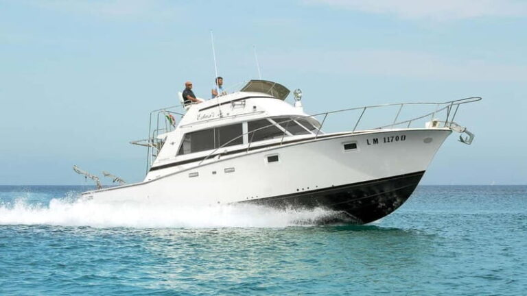 Santa Teresa: Speedboat tour around Lavezzi and Piana Island - A Deeper Look at the Santa Teresa Speedboat Tour