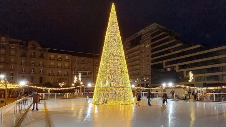 Santiago de Compostela: Vigo Christmas Lights Guided Tour - Who Will Love This Tour?