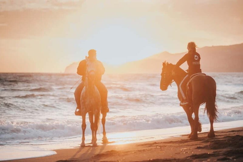 Santorini: Extreme Horse Safari - What Makes It Worth the Price?
