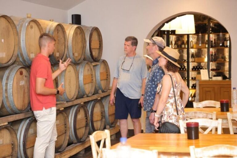 Santorini: Vineyard and Winery Tour with Cooking Class - An In-Depth Look at the Santorini Vineyard and Cooking Tour