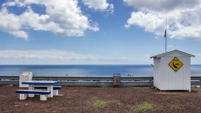 São Miguel: Azores Whaling Heritage Tour - Transport, Duration, and Practicalities