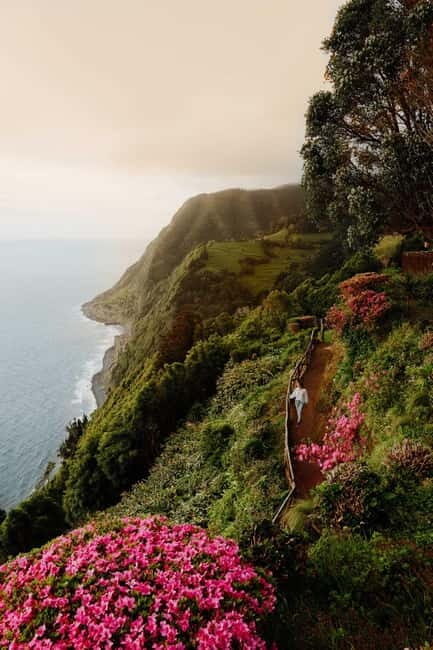 São Miguel Island: Full-Day Ribeira Park and Nordeste Tour - Why This Tour is a Great Choice