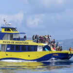 São Miguel: Whale-Watching Cruise with Marine Biologist - Who Should Book This Tour?
