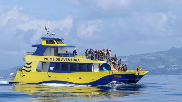 São Miguel: Whale-Watching Cruise with Marine Biologist - Who Should Book This Tour?