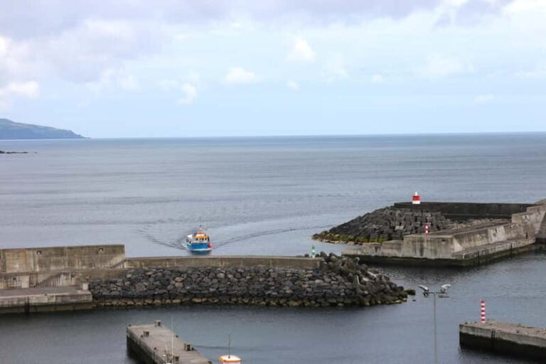 São Miguel:Rabo de Peixe From the Market to the Harbour Tour - What to Expect and Practical Details