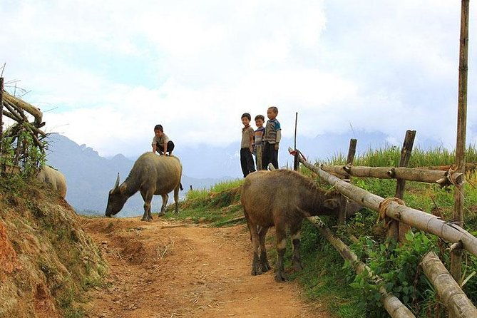 Sapa 2 days 1 night trekking Lao Chai Ta Van - Fansipan mountain by cable car - What the Tour Offers in Detail
