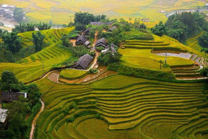 Sapa 3 Day Trekking with 2 Nights Homestay - An In-Depth Look at the 3-Day Sapa Trekking Experience