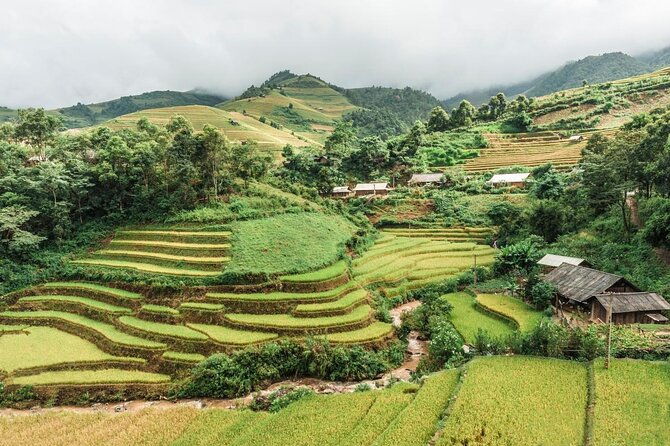 Sapa 3 Days Trekking Tour ( Overnight Train + Homestay + Hotel ) - Key Points