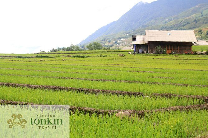 Sapa hard trekking villages homestay 3days/ 2nights tour - amazing culture - The Itinerary and What You Can Expect