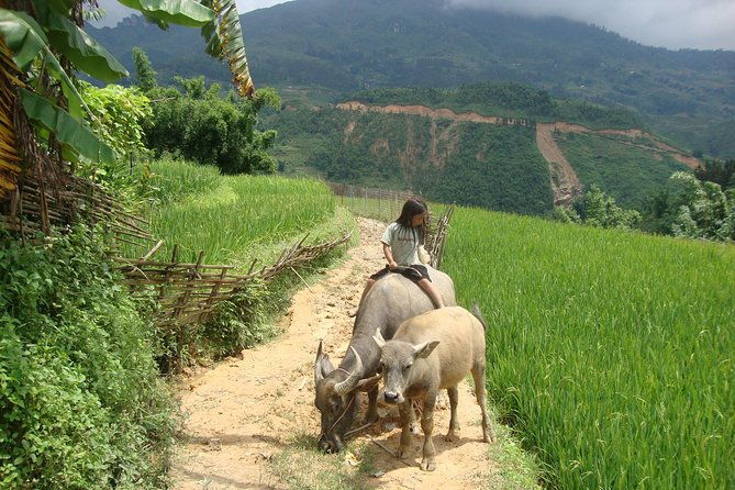 Sapa tours - An In-Depth Look at the Sapa Tour