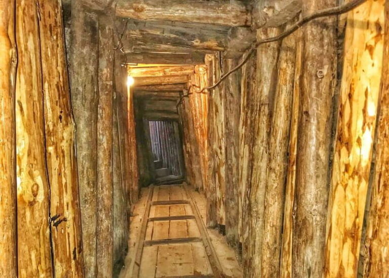Sarajevo: Guided City Highlights Tour with Sarajevo Tunnel - What Reviewers Say
