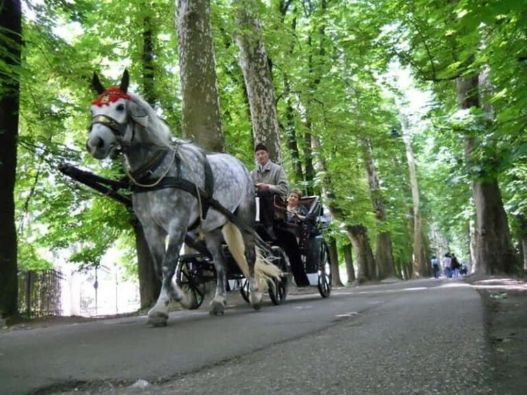 Sarajevo: Vrelo Bosne Nature Park Private Tour - What to Expect at Vrelo Bosne