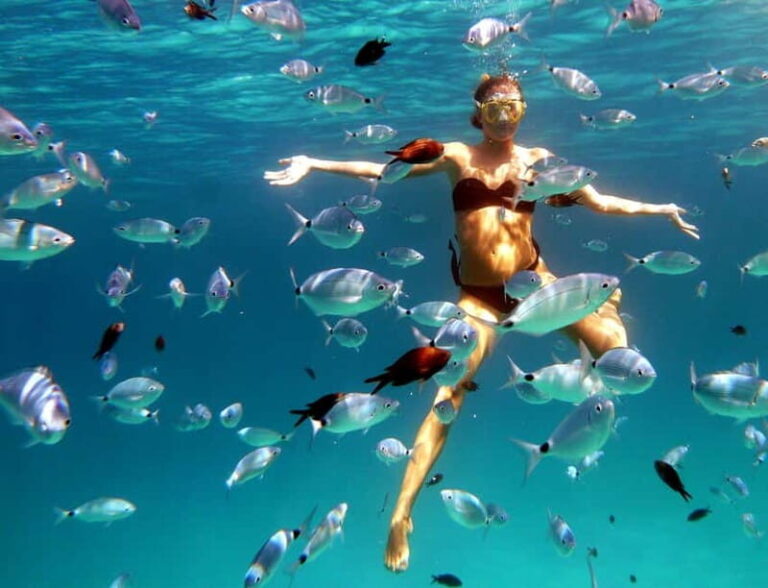Sardinia: Morning Kayak Tour with Snorkeling - Who Will Love This Tour?