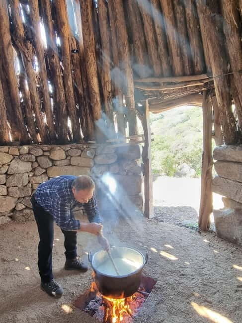Sardinia: Private Cheese-Making Workshop and Supramonte Tour - What to Expect from the Tour