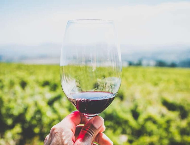 Sardinia: Wine Tasting and Nuragic Village Tour in Alghero - Journey to the Family-Run Winery