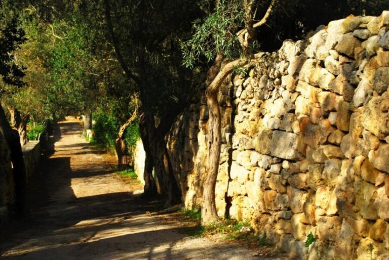 Scenic Tour by Vintage Bus to Buskett Garden & Dingli Cliffs - Practical Details and What to Expect