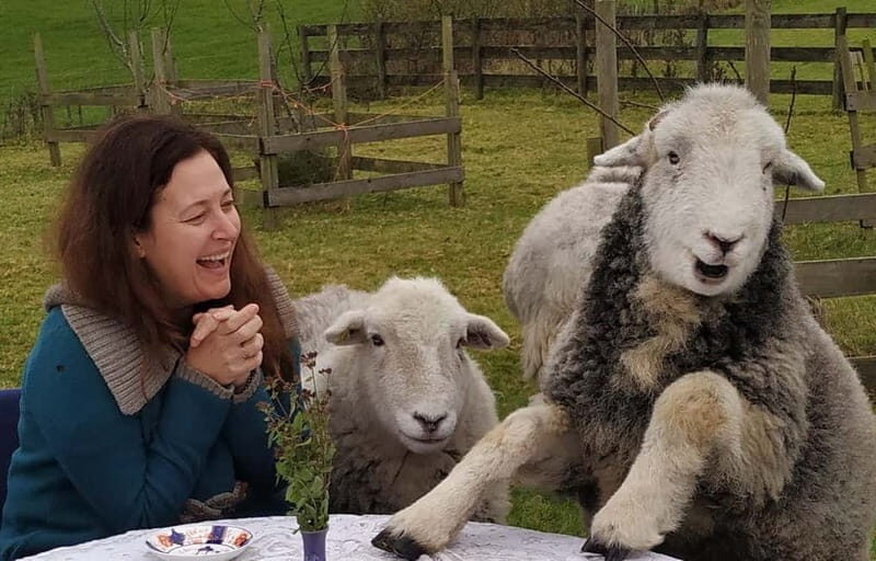 Scotland: Relaxation Retreat with Naughty Sheep - What’s Included and What to Expect