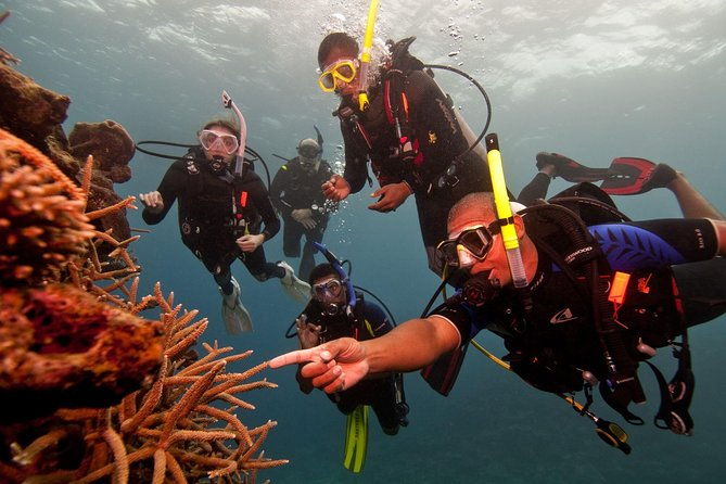Scuba Diving For Beginners - Introduction: What You Need to Know About This Scuba Experience in Negombo