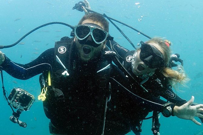 Scuba Diving in Phuket  Full-Day Trip (3 Dives, All Included) - Key Points