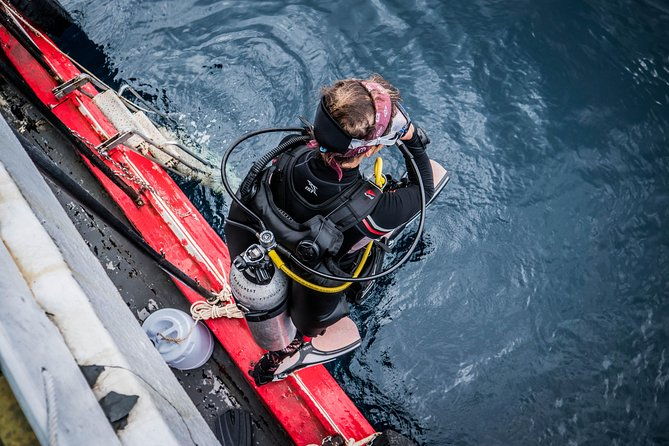 Scuba Diving Trip to Sail Rock From Koh Phangan (Certified Divers) - Why Sail Rock Is a Must-Visit for Certified Divers