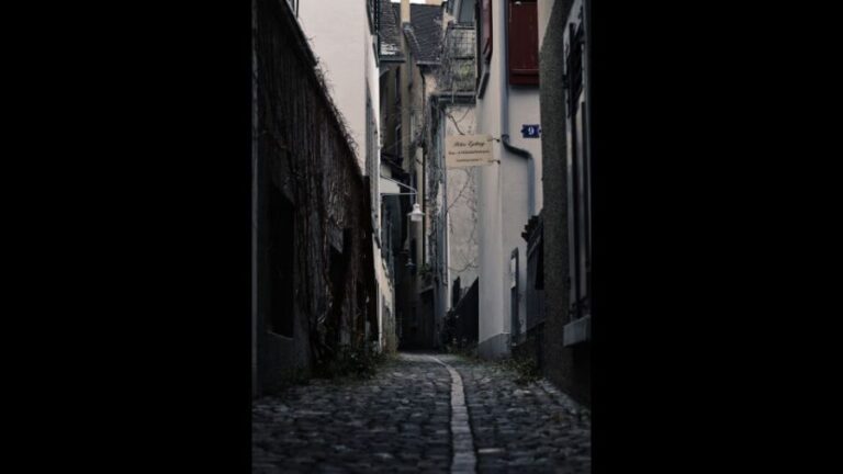 Secret Doors of Zurich Discovery Walk - Authentic Insights from Reviews