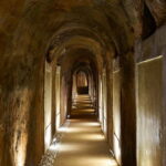 Secrets of Dorado Wine - The Guided Tasting: Savoring Historic Wines