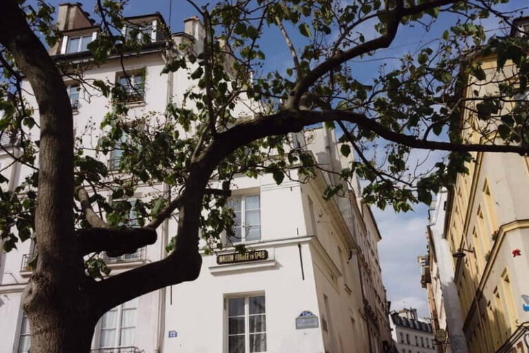 Secrets of Paris Bike Tour in English or Dutch - Who Should Consider This Tour?