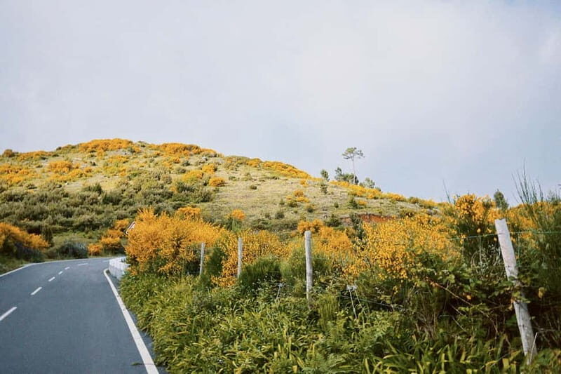 Self-Guided E-Bike Road Tour - Camacha to Monte with Lunch - Itinerary Breakdown: What to Expect