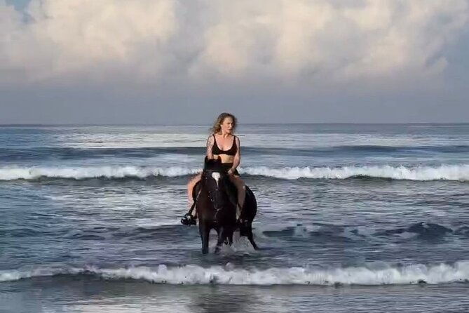 Seminyak beach Private Bali Horse Riding - What to Expect from the Seminyak Beach Horse Riding Tour