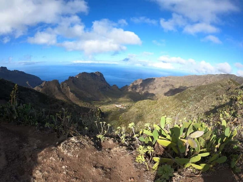 Senderismo Cumbres de Masca y monte del agua - Why This Tour Offers Excellent Value