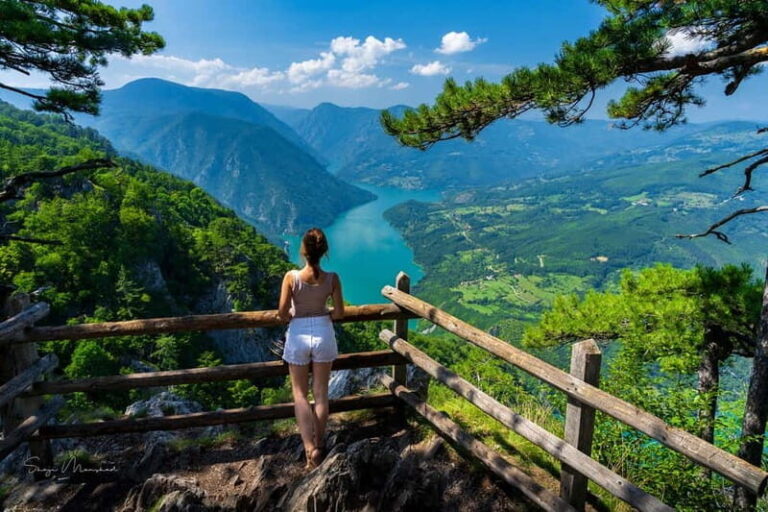 Serbia: Drina River House & Tara National Park Full Day Tour - Value and Practical Considerations