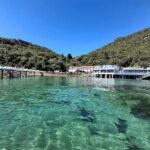 Sesimbra: Arrábida Natural Park and Tróia Sandbanks Tour - What to Expect & Practical Tips