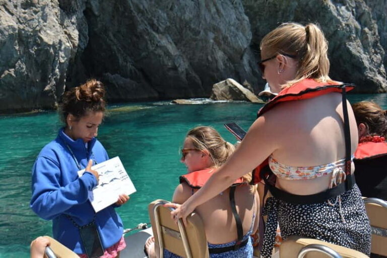 Sesimbra: Dolphin and Whales Watching with Biologist Guide - The Itinerary in Detail