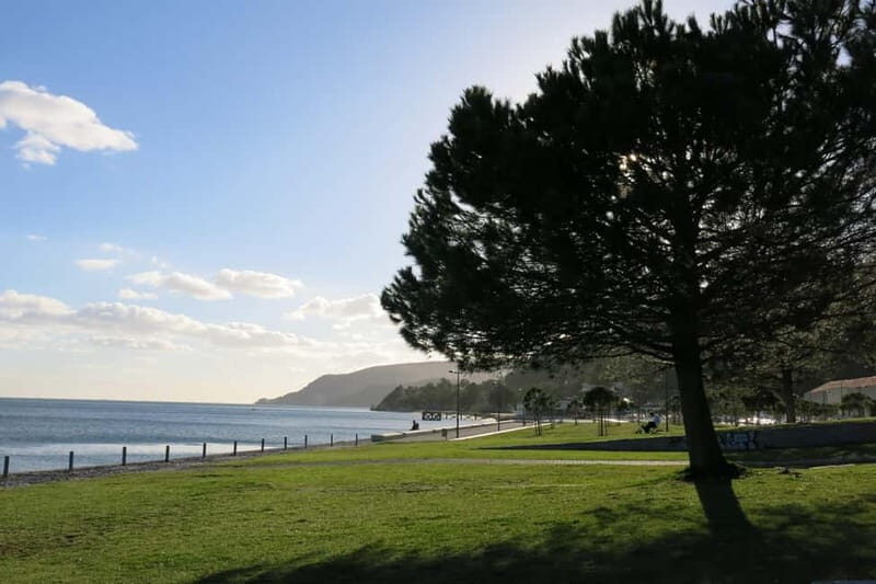 Setúbal: Private Walking Tour with Tastings - How the Experience Comes Together