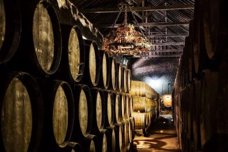 Setúbal Wine Tour: Discover the Moscatel Wine - Why This Tour Is a Great Value